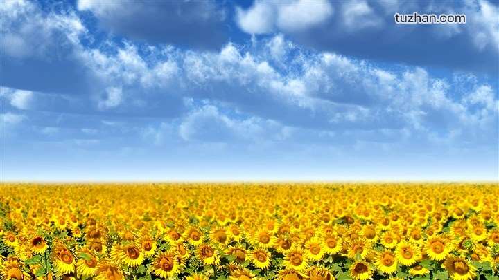 BALLY全球品牌代言人王源现身米兰时装周秀场 与品牌CEO同坐前排看秀